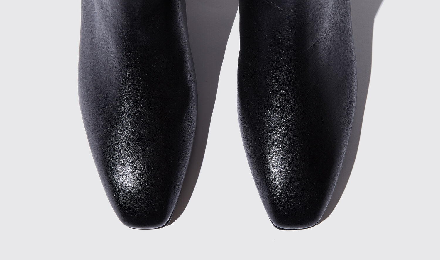 Shop Scarosso Ambra Nera - Woman Boots Black In Black - Calf