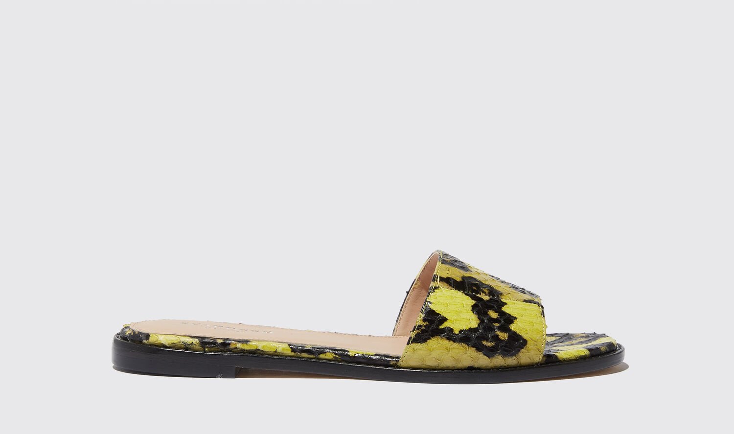 Shop Scarosso Federica Gialla Elaphe - Woman Sandals & Espadrillas Yellow In Yellow - Elaphe