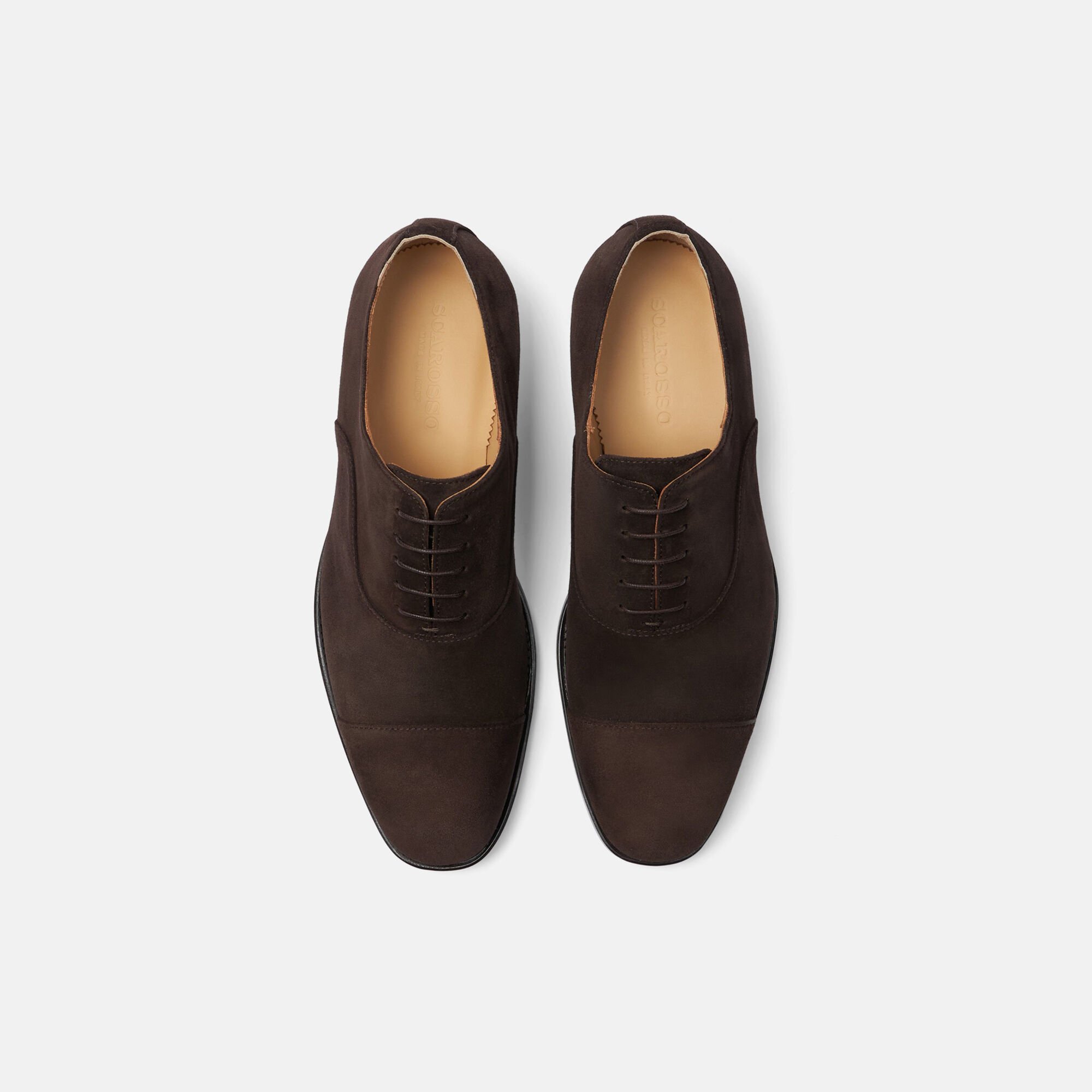 Scarosso Salvatore Brown Suede Brown - Suede SALVATOREOXFO